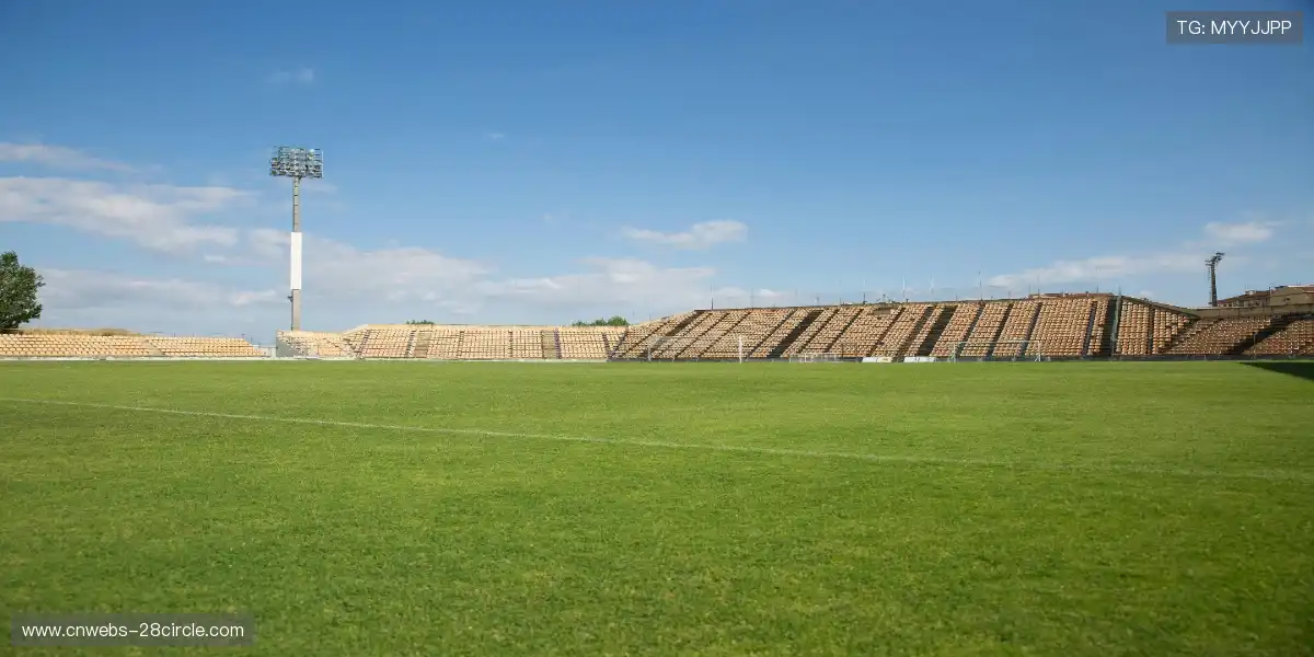 🎤 顶流解说天团坐镇，深度拆解每一记绝杀，让你看懂比赛内核！🧠